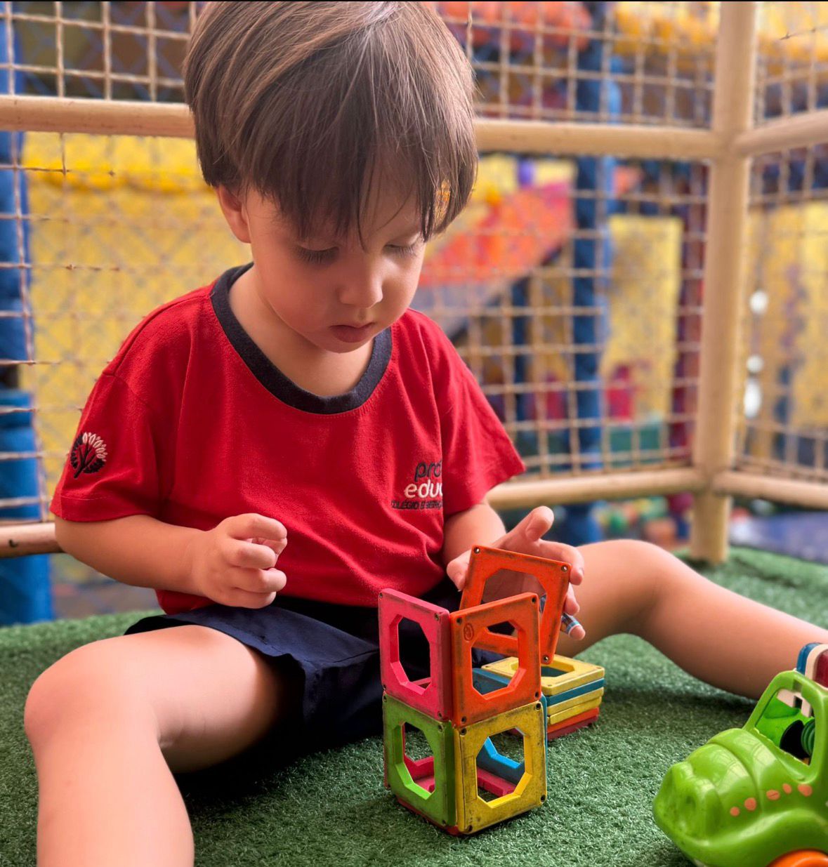 WhatsApp Image 2025-11-19 at 11.17.31.jpeg